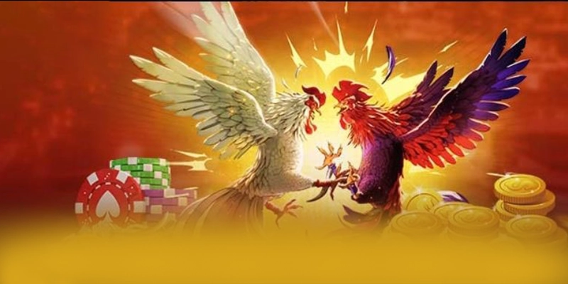 Phản hồi từ game thủ về 8XBET Phản hồi từ game thủ về 8XBET